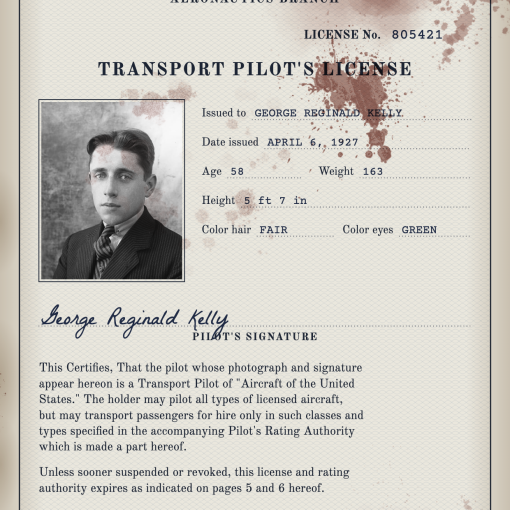 Bearer pilot-licence